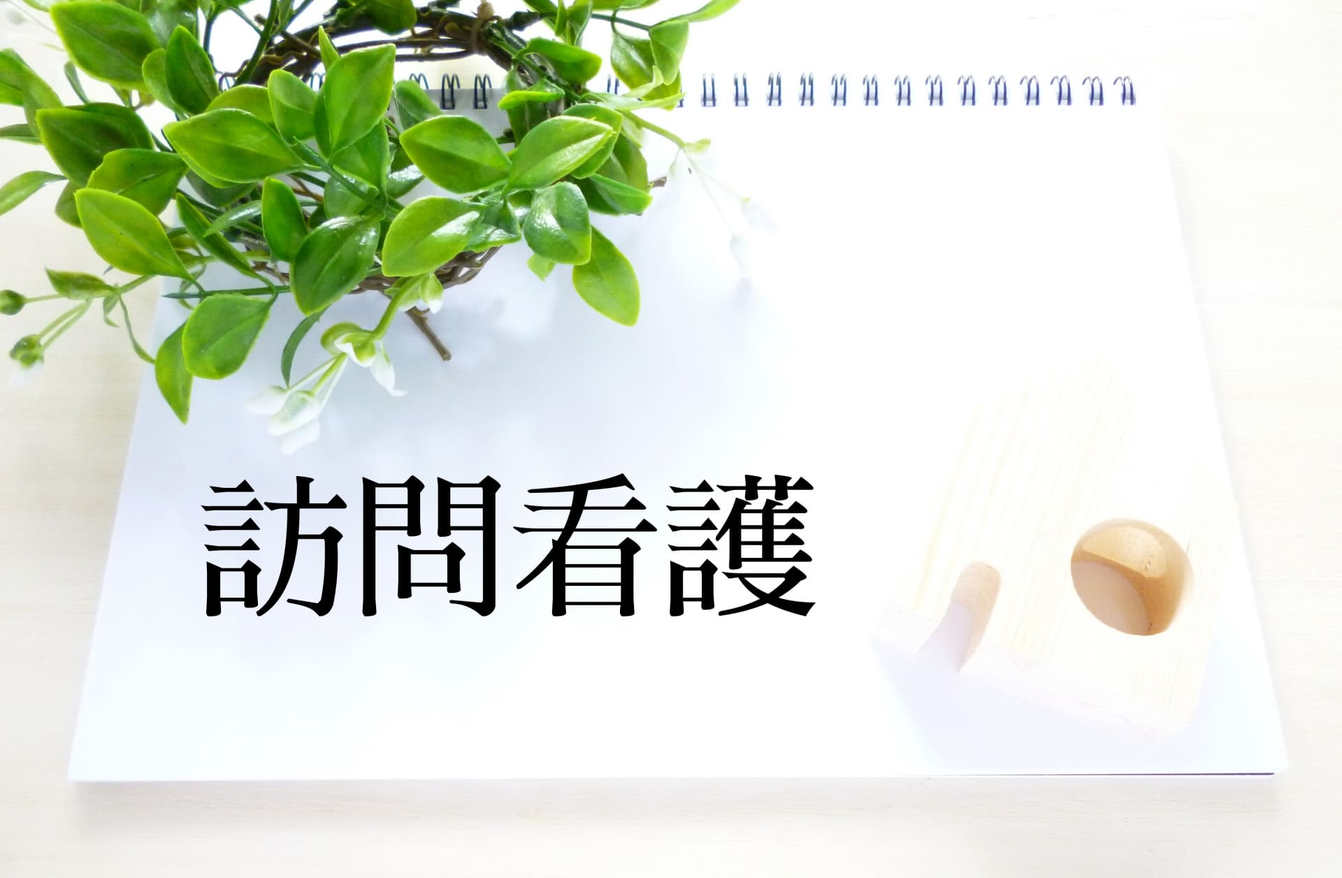 公的なケアでできないこと